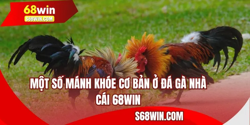 Một số mánh khóe cơ bản ở đá gà nhà cái 68WIN